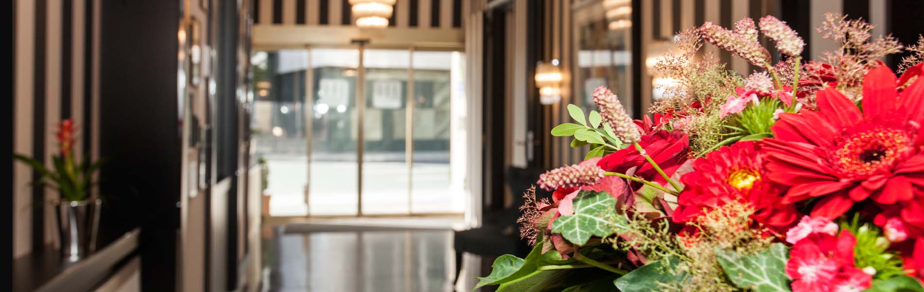 The Domicil Hotel  header